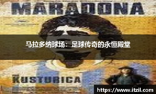 芒果体育登录注册