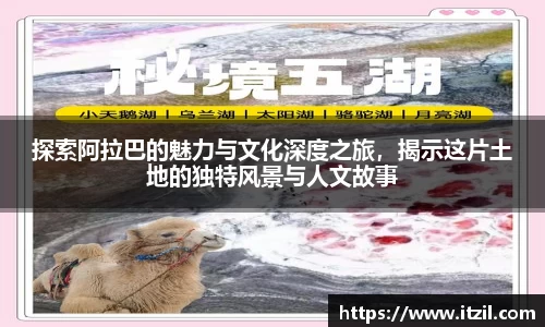 芒果体育官方网站