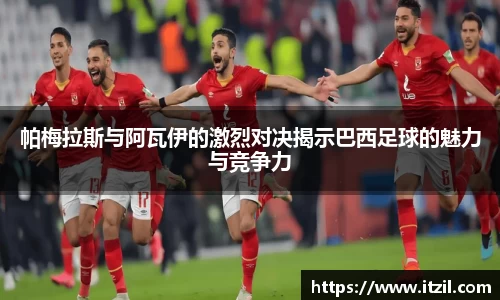 芒果体育