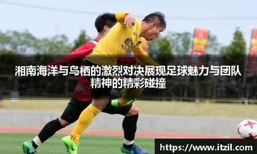 芒果体育登录注册